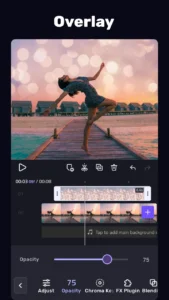 VivaCut – Pro Video Editor 1