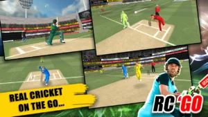 Real Cricket™ GO 3