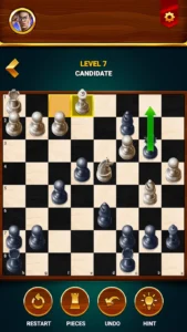 Chess – Offline Board Game 5